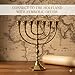 Salomon's Menora Authentic Brass Menorah - 7-Branch Candle Holder from Jerusalem, Israel - Antique Design for Spiritual, Religious & Home Decor
