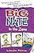 Big Nate in the Zone