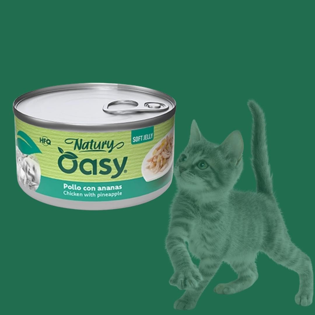Oasy - Mascotas húmedas para gatos naturales con sabor a pollo con piña, suaves pelusas naturales de Soft Jelly para gatos adultos de todos los tamaños y razas | 24 latas de 85 gramos cada una.