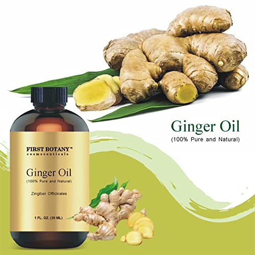 100% Pure Ginger Essential Oil - Premium Ginger Oil For Aromatherapy, Massage, Topical & Household Uses - 1 Fl Oz (Ginger) #TOP1