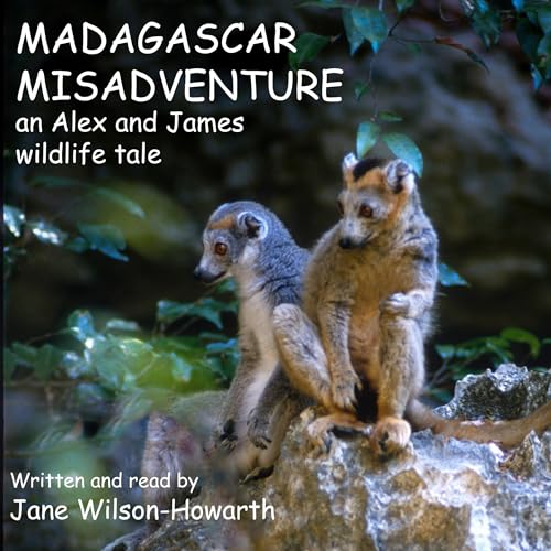 Madagascar Misadventure by Jane Wilson-Howarth episode artwork