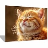 DunPei Pintura En Lienzo De Animales Gatos íntimos Painting Lienzo De Arte Mural,Arte En Lienzo Para Dormitorio Salón Despacho Baño Entrada（Marrón64-80x120cm Enmarcado