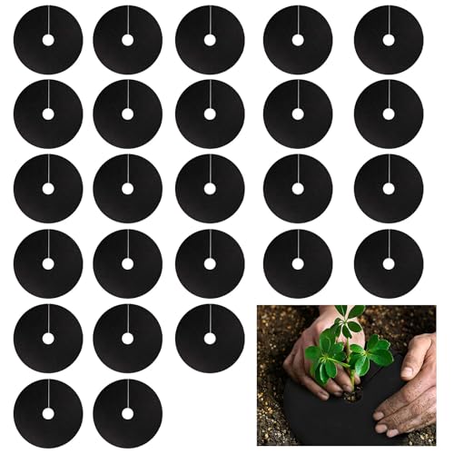 Lot de 25 colliers de chou, anneaux ronds de paillage pour plantes dissuades, mouches racines, escargots, mauvaises herbes, parterres de fleurs, rétention d'humidité du sol (25 cm)