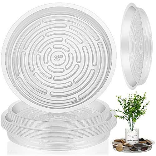 30 Packungen 10, 12 Zoll Pflanzen-Untersetzer, transparente Kunststoff-Abtropfschalen, Pflanzenwasserschalen für Töpfe, Blumentopf, Untertassen, keine Löcher für Innen- und Außenbereich, Blumentöpfe Cover