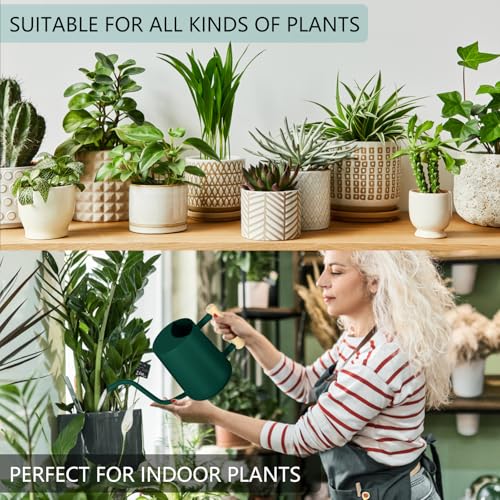 Image of Watering Can Indoor Plants, 35oz Small Indoor Stainless Steel Metal Watering Can Modern Decorative Watering Pot with Long Spout for Indoor House Plant Bonsai Garden Flowers (Alpinegreen)