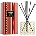 Price comparison product image Nest Fragrances Reed Diffuser, Holiday, 5.9 oz