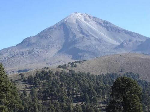 I2kg LVR `ApX JtFCX R[q[ R Ɩp   (̂܂܁j