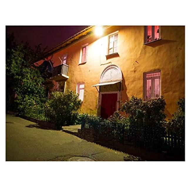 50W LED Landscape Lights Flood Lights Warm White Outdoor Spotlights