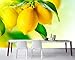 Produktbild Yosot Zitronen-Nahaufnahme-Laub-Nahrungsmittelfoto-3D Tapete, Wohnzimmer-Sofa-Fernsehwand-Schlafzimmer-Küche-Restaurant-Bar 3D Wandbild-200cmx140cm