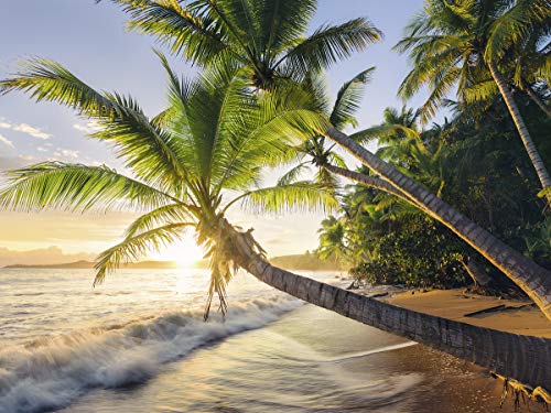 Ravensburger Puzzle 15015 - Strandgeheimnis - 1500 Teile Puzzle für Erwachsene und Kinder ab 14 Jahren, Puzzle mit Strand-Motiv – Bild 4