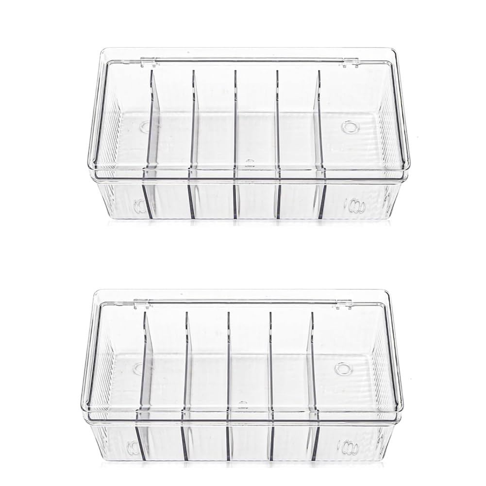 Jnchdghwa Eyelash Cart Storage Boxes 2-Pack Clear Lash Extension Organizer, 6 Compartments, Large Capacity, Separated
