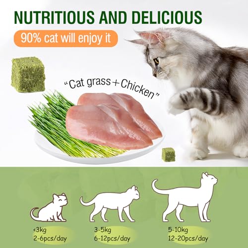 Image of 60g /2.13oz Cat Grass Teething Toy Hairballs,Chew Treats for Cats,Edible Cat Chew Toys,Natural for Cats,Teeth Cleaning and Hairball Removal (60g)
