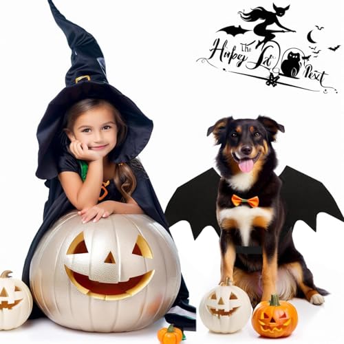Katzen Halloween Kostüm Hund Fledermaus Flügel, Hundekostüm Inklusive Fledermausflügel und Kürbisglocken, für Haustier Party, Cosplay (L)