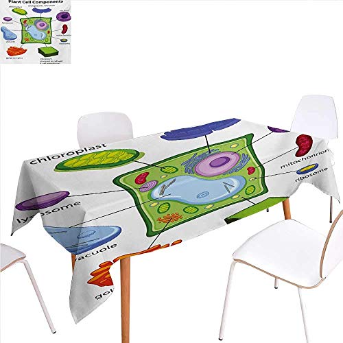 Handheld Inkjet Printer Piccoli impianti a getto dinchiostro ad alta risoluzione palmareMALLMALL DATA AUTOMATICA DATA PRODUZIONE DATA SERIAL Numero di lotto inkjet