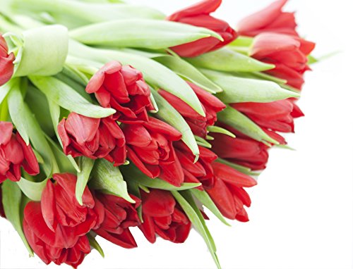 Image of KaBloom-20 Red Tulip Bouquet,Flowers for Valentine, Mother's Day