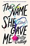 The Name She Gave Me: A Powerful Young Adult Novel in Verse About Adoption and Searching for a Biological Sister