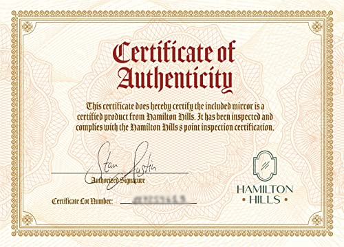 Hamilton Hills 24X36 Inch Frameless Oval Pivot Wall Mirror With Black Rounded Wall Brackets | Large Circular Tilt & Pivoting Bathroom Mirror | Bedroom, Farmhouse Hanging Oval Wall-Mounted Vanity #TOP7