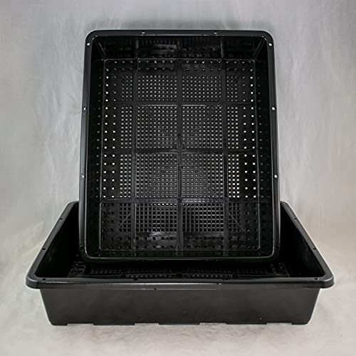 2 x Black Plastic Tray for Propagation, Bonsai Forest/Group Planting 15'x 12'x 3'