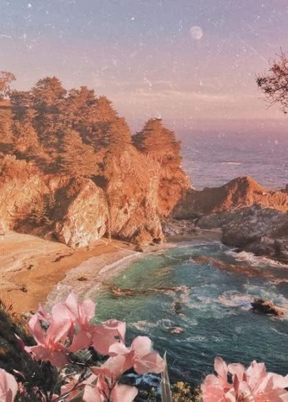 FILASLFT Pintura de lago por números para adultos, pintura de playa por números para principiantes, pintura de flores por números, estilo de moda