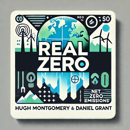 Climate Chaos - a military perspective with Lt General Richard Nugee | Real Zero Podcast cover art