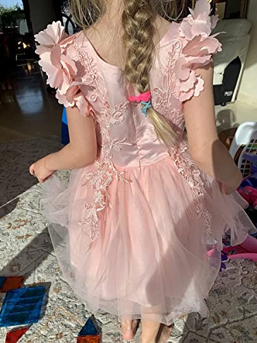 Weileenice Light Pink Little Girl Sleeveless Lace Dress Peach Kids Birthday Elegant Prom Pageant Ball Gown Flower Girls Princess Christmas Dresses Wedding Party Holiday Evening 4 5 Formal Photo Shoot #TOP5