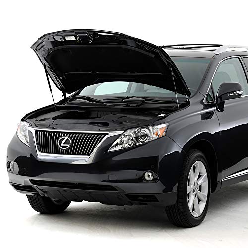 Strongarm 4398 Hood Lift Support, Pack Of 1, Black #TOP1