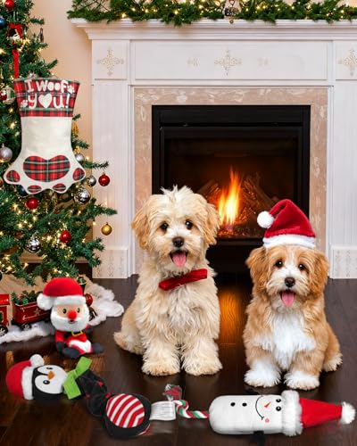 Set de 5 Juguetes de Navidad para Perros Swooflia miniatura 5