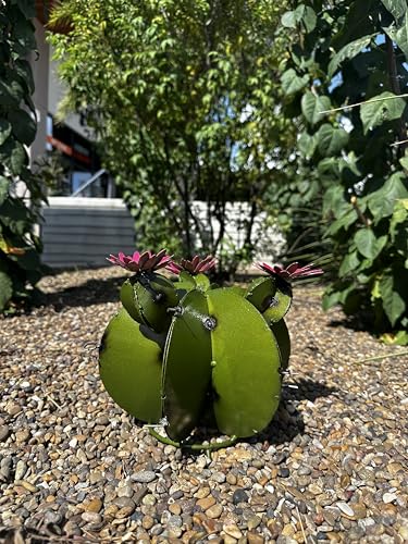 Decorative Metal Bisnaga Cactus with Tunas - Garden Art (Olive)