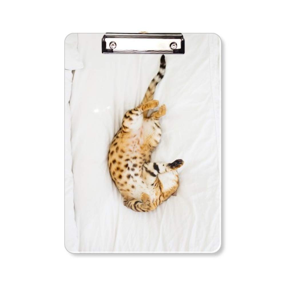 Chat Ocelot Photographe pad support plaque A4 ecriture - 5