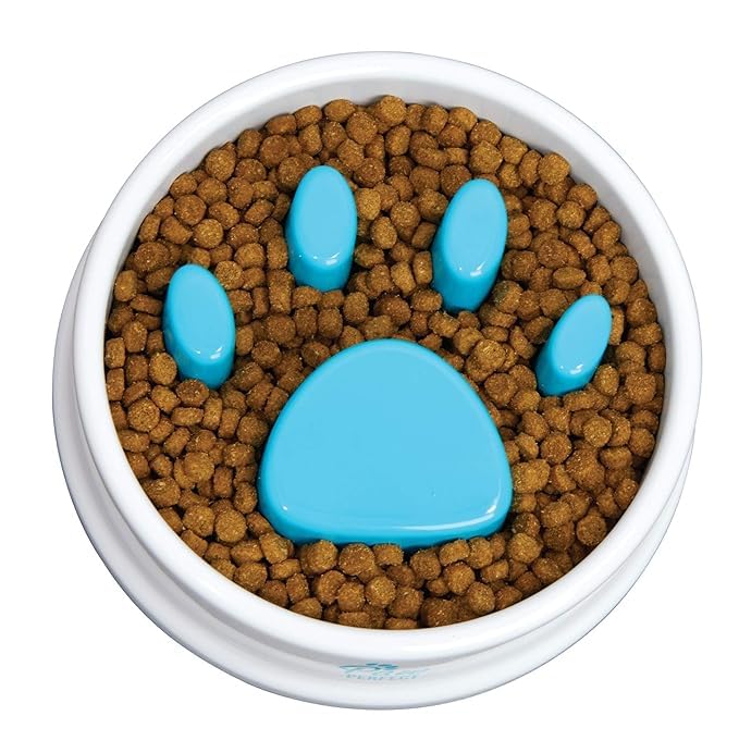 GETZET Dog, cat Water Feeder Bowl No Chocking Slow Polypropylene Feeder Bloat Stop Food Water Bowl for Dog Cat with Funny - White.