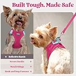 rabbitgoo Dog Harness Small Sized and Leash Set, Step in Soft Light Puppy Vest, Breathable Mesh Pet Harness, Reflective for Safe Easy Walking, Rose Red S - Image 4