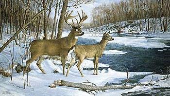 Ron Van Gilder - Jordan Buck - Deer - Fine Art Print - Limited Edition of 9500 -