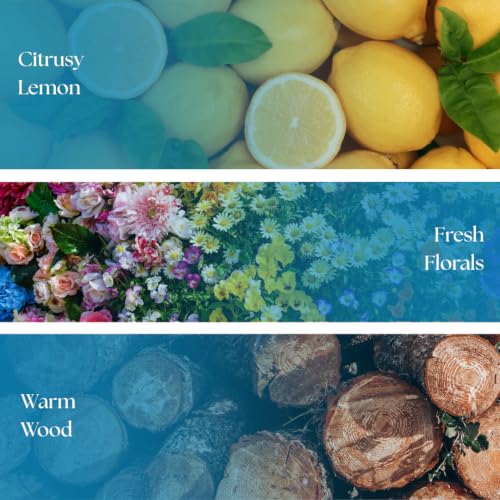 Image of Sea Salt Luxury Car Perfume | Long Lasting Car Fragrance & Car Freshener | 400 Presses, Up to 133 Days | Press to Diffuse 40ml Glass Bottle | Goa Salt Drift