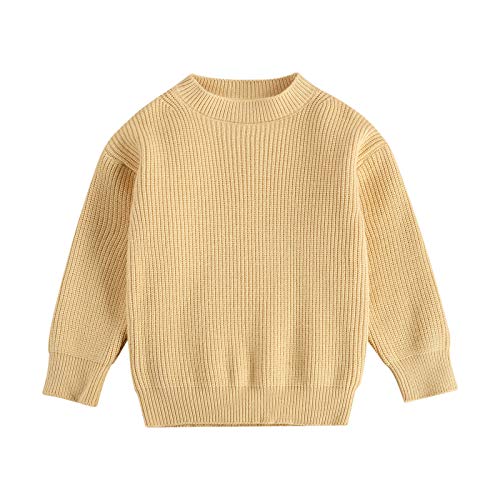 Kids Toddler Baby Girl Boy Crewneck Long Sleeve Knit Sweater Casual Pullover Tops Basic Fall Winter Clothes (Yellow, 2-3 Years)