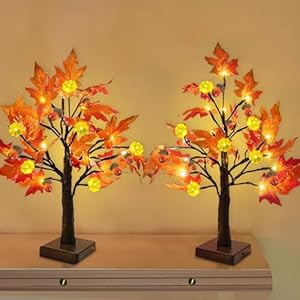 TURNMEON Fall Decor 2 Pack 18 Inch Prelit Fall Maple Tree Fall Decorations for Home with 48 LEDs Timer Battery Operated Lighted Pumpkins 6 Acorn Tabletop Halloween Thanksgiving Decorations Indoor