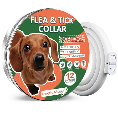 Collare Antiparassitario Surglam Per Cani - Protezione 8 Mesi Contro Pulci E Zecche, Regolabile Fino A 65cm - Foto 10