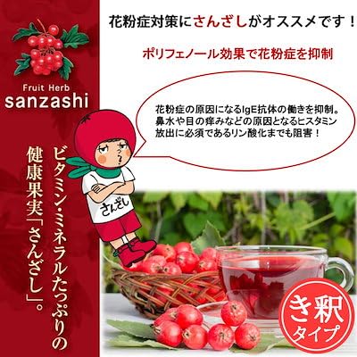スタイルクリエイト㈱ フルーツハーブ さんざし 900ml 3本セット