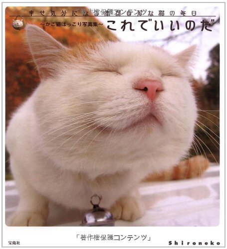 子猫の大行進 写真集 これでいいのだ かご猫ほっこり写真集 | shironeko |本 | 通販 | Amazon