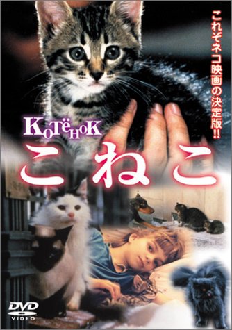 Amazon.co.jp: こねこ [DVD] : アンドレイ・クズネツォフ