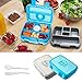 Bizz Travel Bento Box Set Lunch Boxes with Utensils, Removable Microwaveable, Dishwasher Safe Tray (2-Pack) Lunchbox Portable Portion Control Meal Prep Containers, Reusable, BPA Free for Kids Adults
