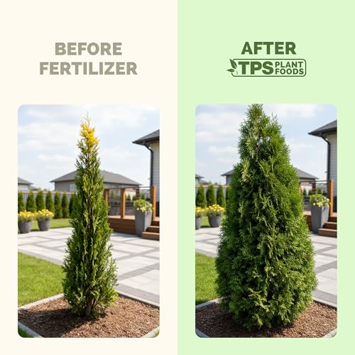 Fertilizante Líquido para Árboles Evergreen 32 oz miniatura 3