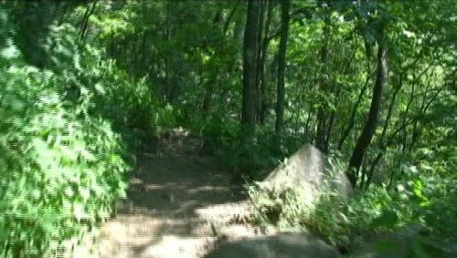 Virtual Hiking on Sharp Top Mountain, Va. Exercise DVD