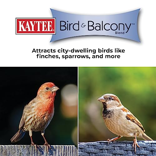 Kaytee Bird & Balcony Wild Bird Food No Mess Seed Blend for City Dwelling Birds Like Finches, Sparrows, Mourning Doves and More, 5 lb - image 7