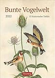 zeichnung vogel schwarz weiß  Bunte Vogelwelt Kalender 2022 - Wandkalender mit Wochenkalendarium und viel Platz für Termine und Notizen - 53 Blatt - 25 x 35,5 cm: 53 historische Tafeln