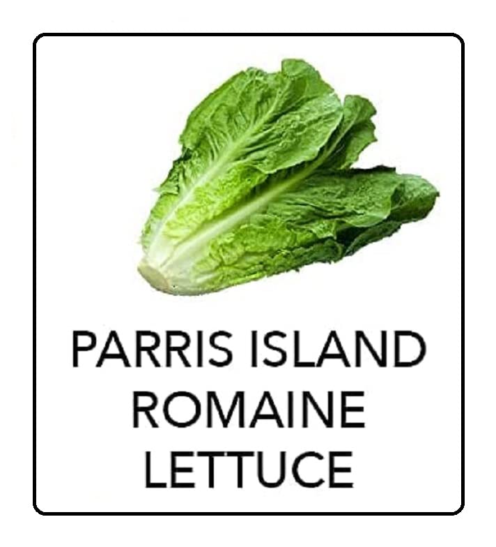 VibeX Parris Island Romaine Lettuce-500 Seeds (B0BBG12SP1) Amazon Price History, Amazon Price Tracker