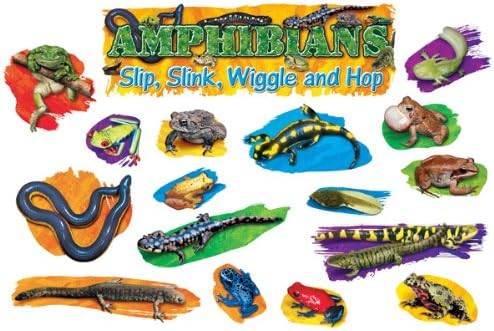 AMPHIBIANS:MINI BULLETIN BOARD