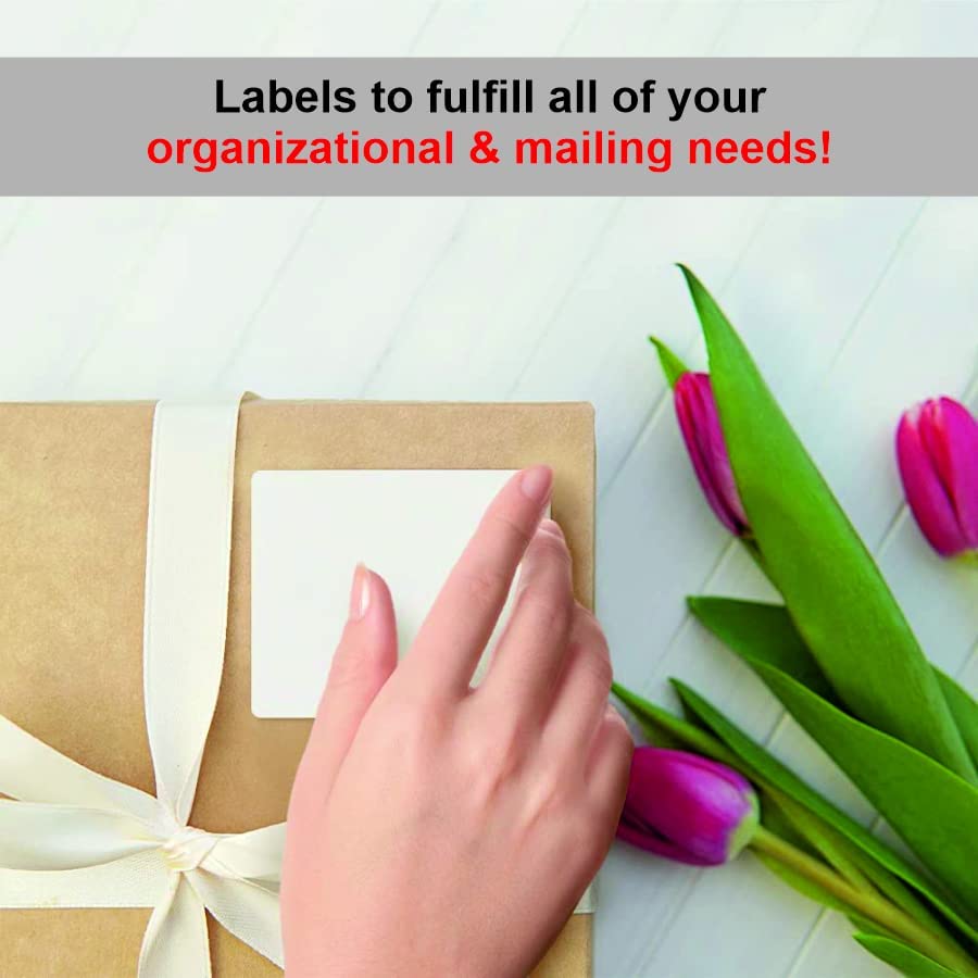 Oddy A4 Paper Label Stickers for Laser & Inkjet Printers- 10 Labels Per Sheet - Pack of 100 Sheets, for Shipping, Address, Folders, Industrial Use 2