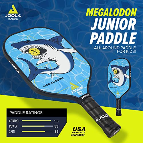 JOOLA Kids Pickleball Paddle Review