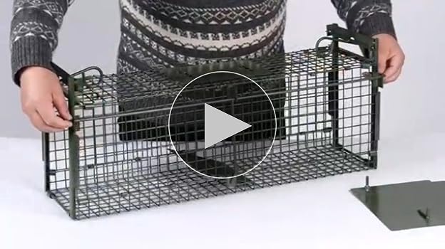 Amazon.co.jp: 動物用 捕獲器 猫の保護器 グリーン サイズ （ 102×38