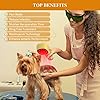 Cold Laser Therapy for Dogs - Effective Pain Relief